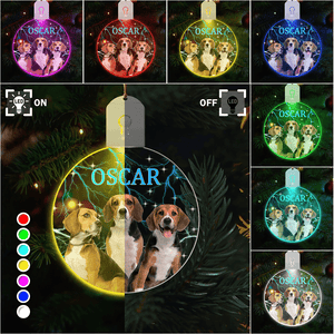 GeckoCustom Custom Portrait Photo With Retro Style Led Acrylic Ornament Christmas Gift For Dog Lovers HA75 891726 3in