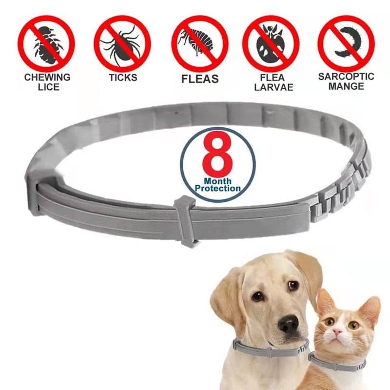 GeckoCustom Dog Anti Flea And Ticks Cats Collar Pet 8Month Protection Retractable Pet Collars For Puppy Cat Large Dogs Accessories