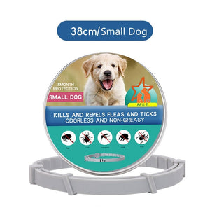 GeckoCustom Dog Anti Flea And Ticks Cats Collar Pet 8Month Protection Retractable Pet Collars For Puppy Cat Large Dogs Accessories Small Dog-38cm Box / China