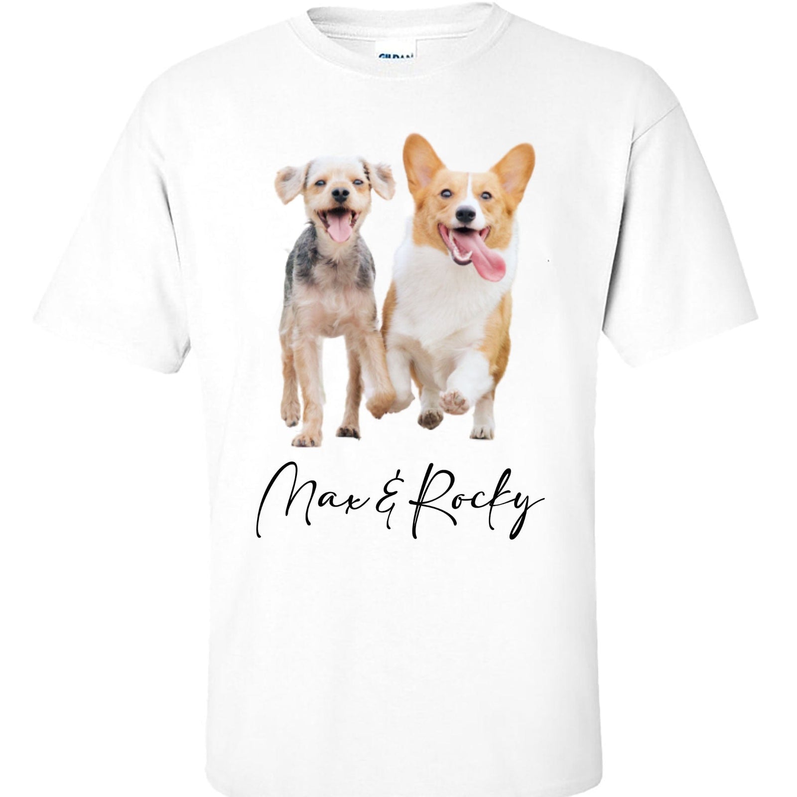 GeckoCustom Dog Cat Upload Photo Custom Shirt C131 Pullover Hoodie / Sport Grey Colour / S