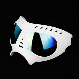 GeckoCustom Dog UV Protection Windproof Goggles White / S