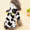 Cat Cow Suit