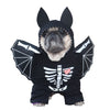 Cat bat Clothes