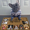 GeckoCustom Go Away Unless You Have Alcohol And Dog Treats Pet Treats Doormat Personalized Gift N304 889530