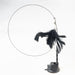 GeckoCustom Handfree Bird/Feather Cat Wand with Bell Powerful Suction Cup Interactive Toys for Cats Kitten Hunting Exercise Pet Products Black Feather Set