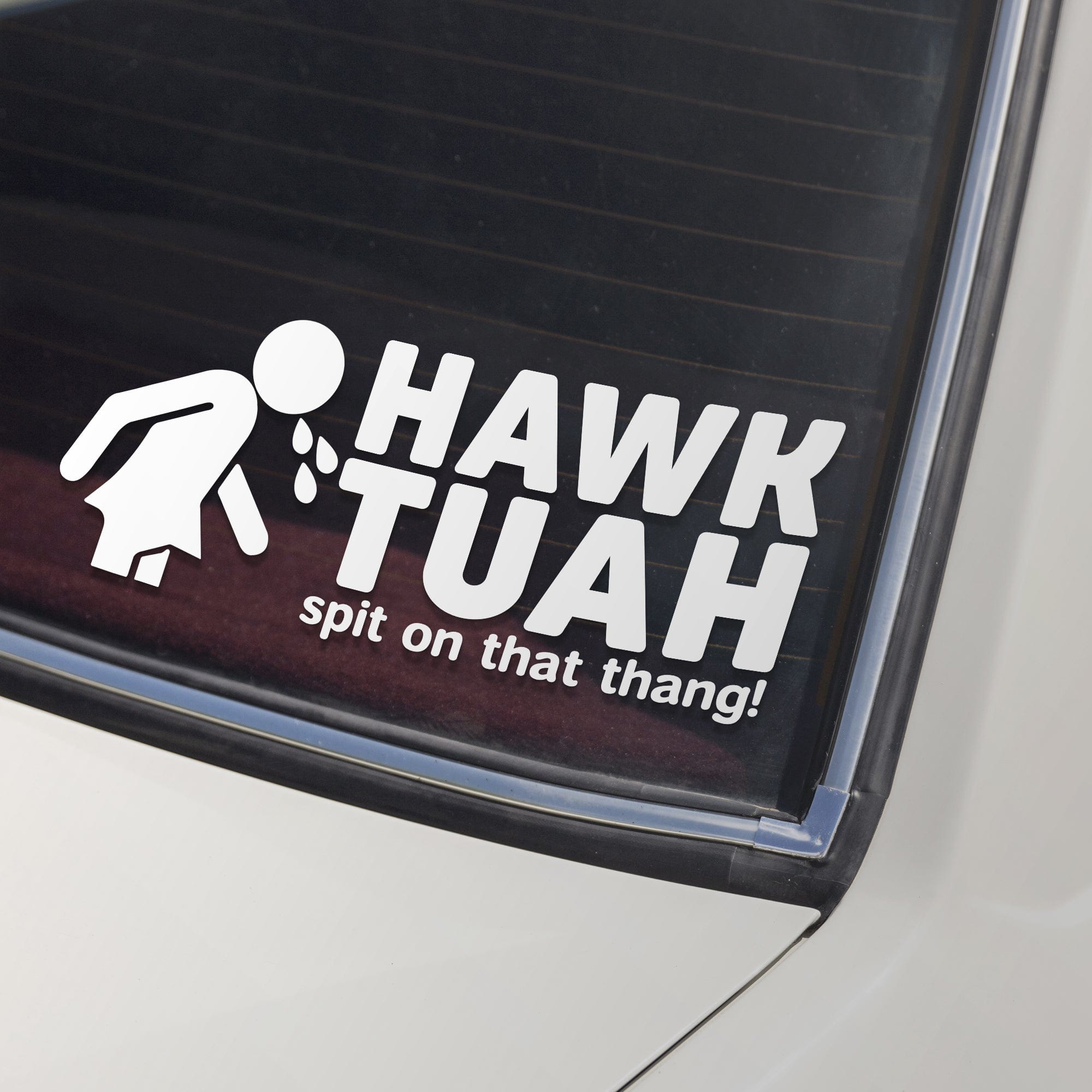 Hawk Tuah Decal | Gotta Give Em That Hawk Tuah Decal | Spit On That ...