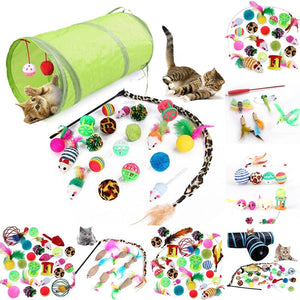 GeckoCustom Interactive Fun Dog Cat Toy Set