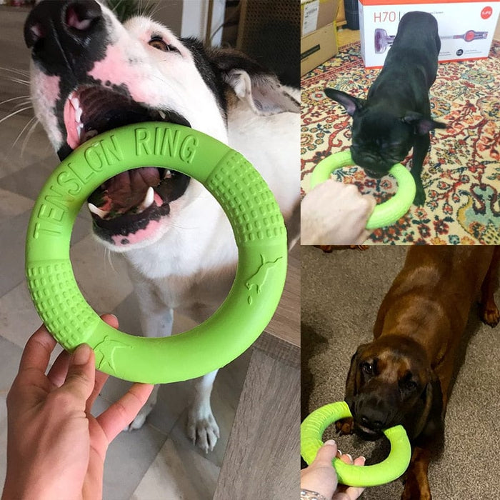 GeckoCustom Interactive Training Ring Puller Resistant Flying Discs Bite Ring Toy For Dog