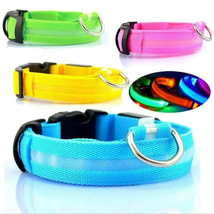 GeckoCustom LED Glowing Dog Collars Rechargeable Waterproof Luminous Collar Adjustable Dog Night Light Collar Pet Dog Safety Necklace