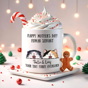 GeckoCustom Merry Christmas Human Servant To Cat Lover Mug TH10 892189