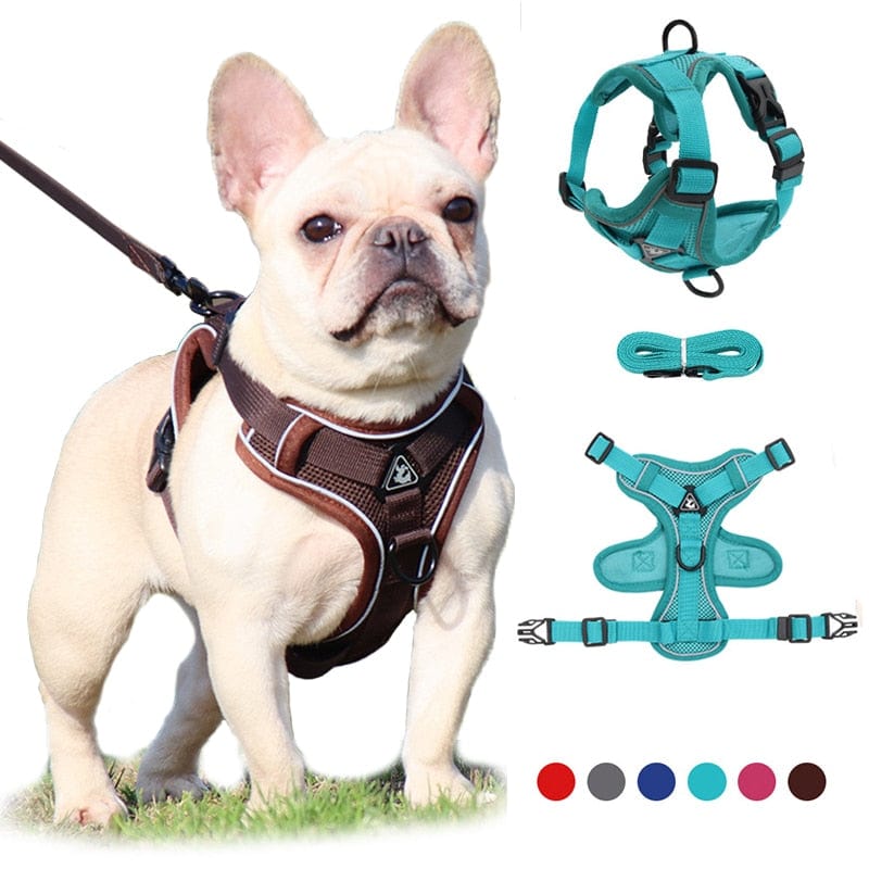 GeckoCustom No Pull Dog Harness and Leash Set Adjustable Pet Harness Vest For Small Dogs Cats Reflective Mesh Dog Chest Strap French Bulldog
