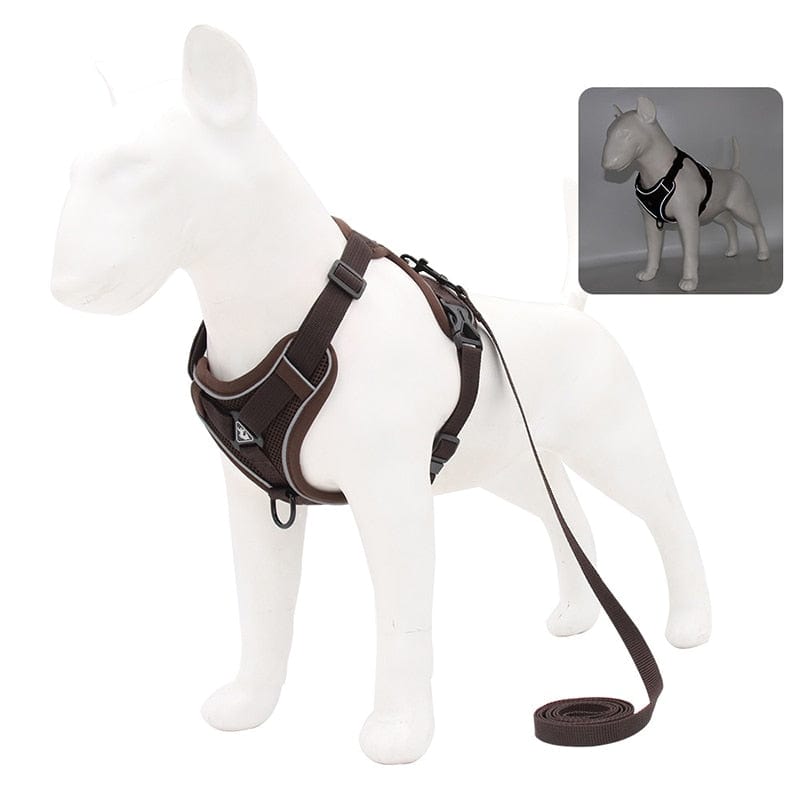 No Pull Dog Harness and Leash Set Adjustable Pet Harness Vest For Smal ...