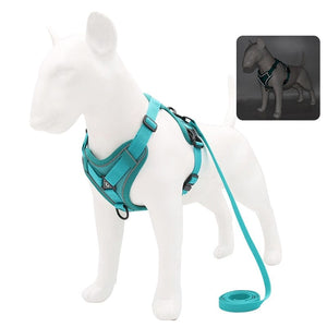 GeckoCustom No Pull Dog Harness and Leash Set Adjustable Pet Harness Vest For Small Dogs Cats Reflective Mesh Dog Chest Strap French Bulldog Cyan / S 2-4 kg