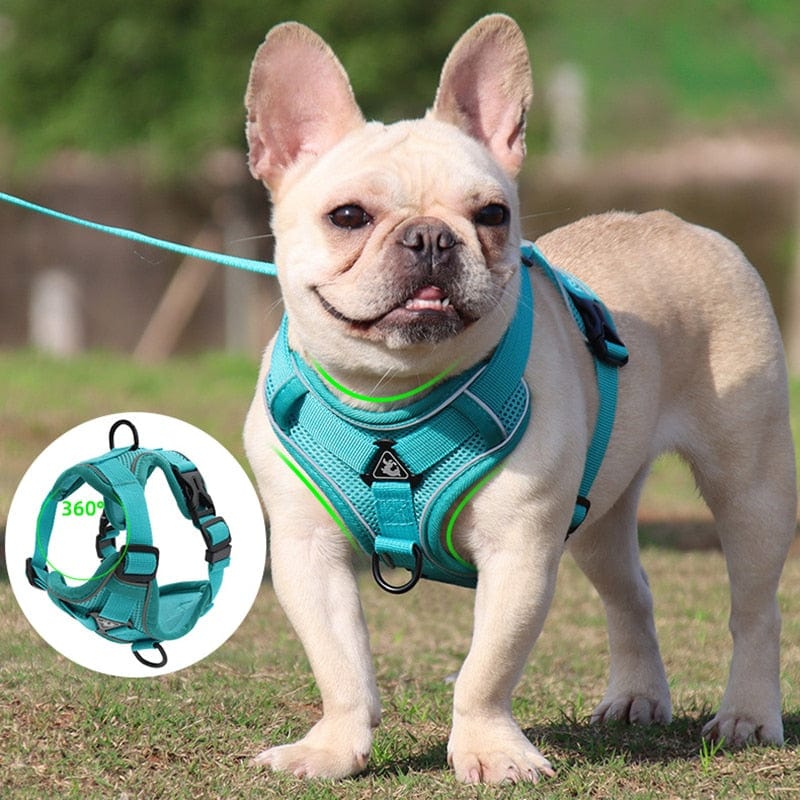 No Pull Dog Harness and Leash Set Adjustable Pet Harness Vest For Smal ...