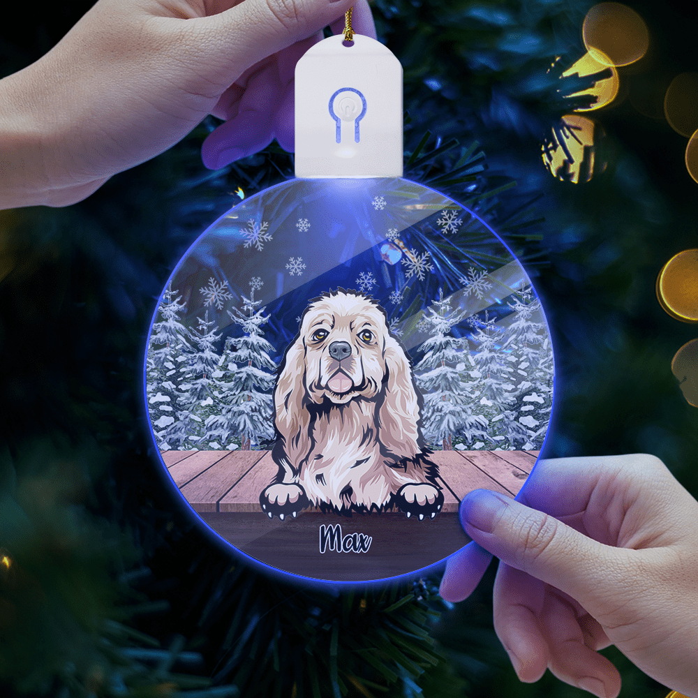 GeckoCustom Personalized Dog For Christmas Led Ornament TH10 892163 3 inches