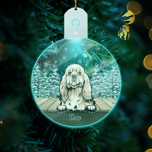 GeckoCustom Personalized Dog For Christmas Led Ornament TH10 892163 3 inches