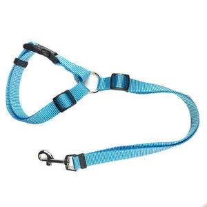 GeckoCustom Pet Dog Car Seat Belt Harness Restraint Lead CWQY-11-Sky Blue