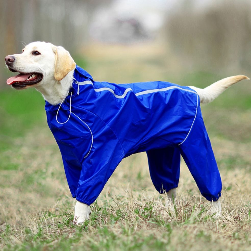 dress for big dogs Customizable New Year Dog Outfit Dog Cheongsam, Red Peony Flower Dress for Big Dogs and Cats, Chinese Spring Festival Wedding Pets Clothes
