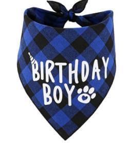 GeckoCustom Pet Party Decoration Set Dog Birthday blue