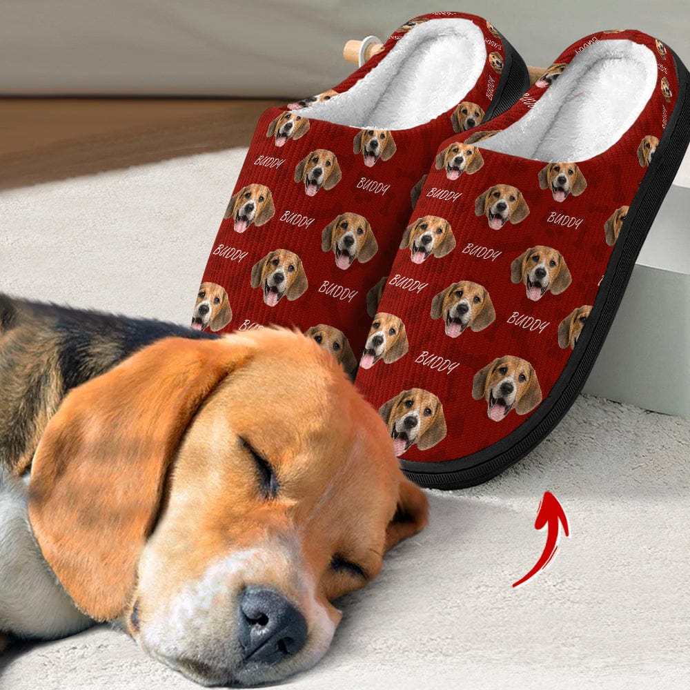 Custom dog slippers hotsell