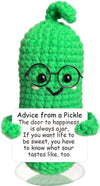 Advice From A Pickle