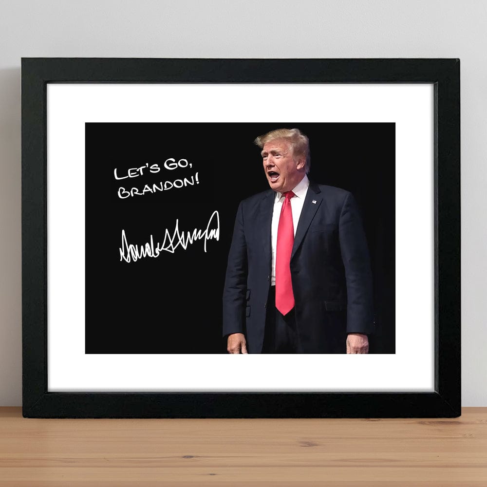 GeckoCustom President Donald Trump Photo Picture Frame Poster TH10 891151