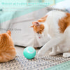 GeckoCustom Smart Automatic Rolling Cat Ball