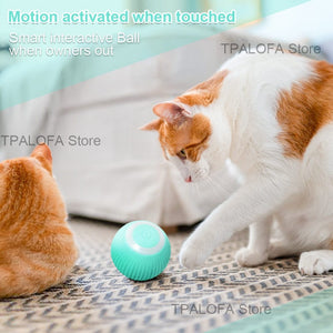 GeckoCustom Smart Automatic Rolling Cat Ball