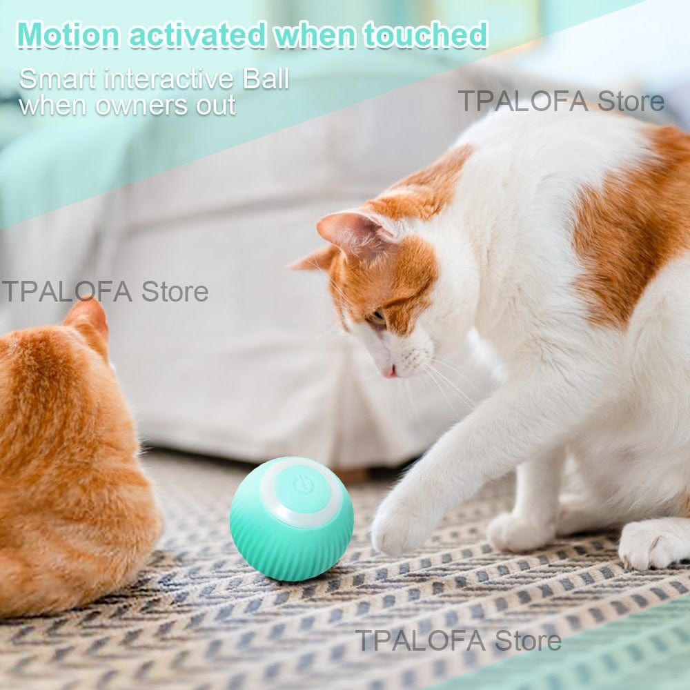 GeckoCustom Smart Automatic Rolling Cat Ball