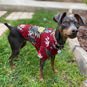 GeckoCustom Summer Dog Clothes Cool Beach Hawaiian Style Dog Cat Shirt Short Sleeve Coconut Tree Printing 2023 New Fashion Gift For Pet