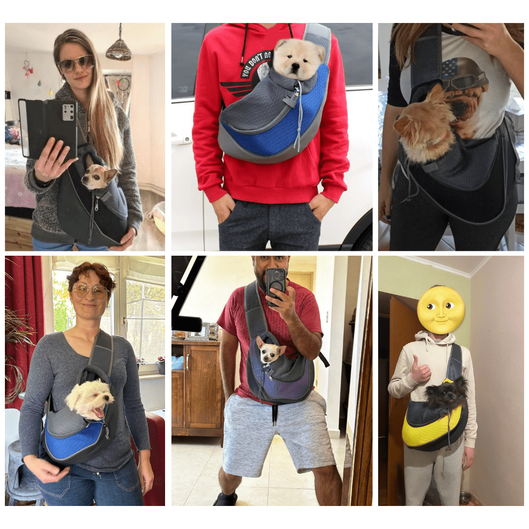 GeckoCustom Mesh Oxford Pet Outdoor Travel Pet Puppy Carrier Handbag Pouch Single Shoulder Bag Sling Mesh Comfort Travel Tote Shoulder Bag