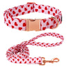 collar leash