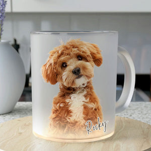 GeckoCustom Upload Dog Cat Image For Dog Cat Lovers Frosted Mug HO82 891130