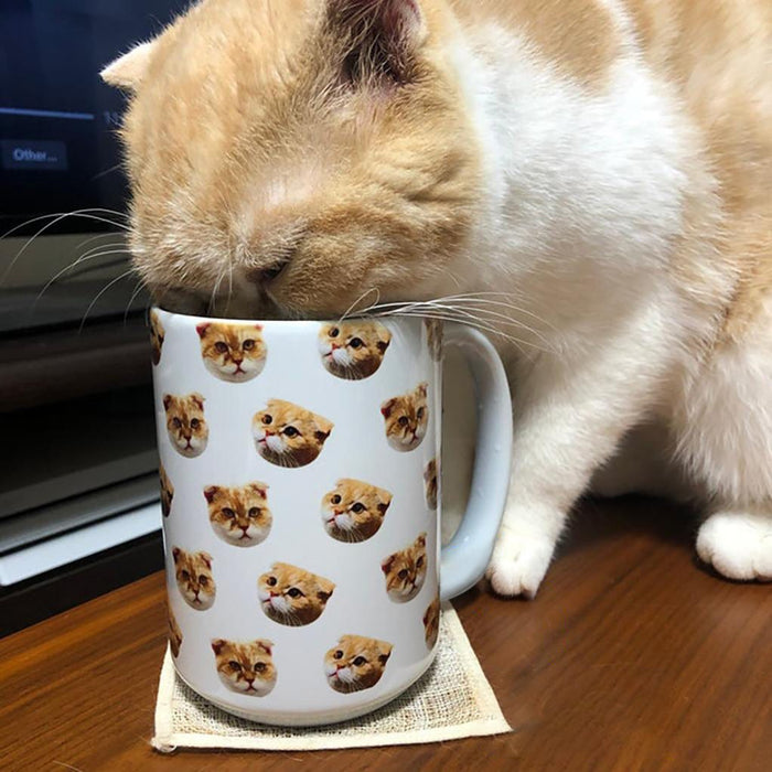 GeckoCustom Upload Image Portrait Coffee Mug For Dog Cat, T368 HN590