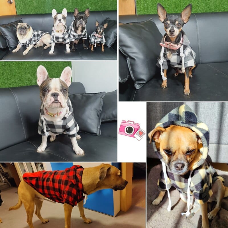 custom winter dog dress Personalized Dog Snowsuit: Custom Winter Outfit With Fur Hood