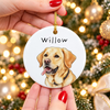 Custom Water Color PhotoCeramic Ornament, Christmas Gift For Dog Cat Lover TH10 171685