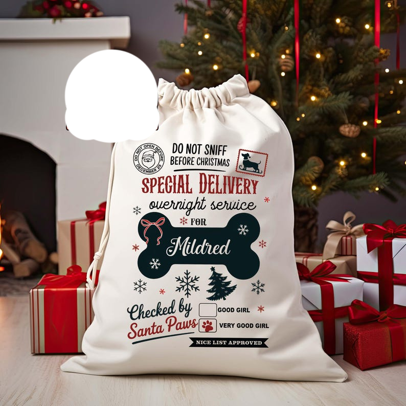 Custom Photo Speacial Delivery For Your Dog Christmas Gift Bag TH10 896989