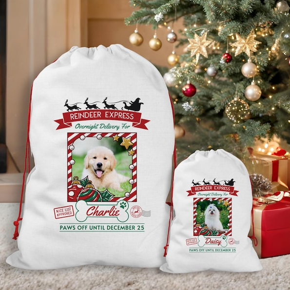 Custom Photo Overnight Delivery For Your Dog Christmas Gift Bag TH10 896981