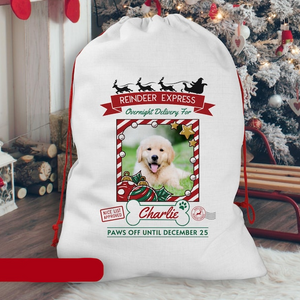 Custom Photo Overnight Delivery For Your Dog Christmas Gift Bag TH10 896981