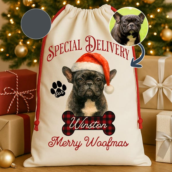 Custom Photo Speacial Delivery Christmas Gift Bag TH10 896979