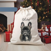 Custom Dog Photo And Name Christmas Gift Bag TH10 896983