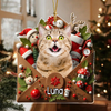 Custom Photo Letter To You 3D Effect Cat Acrylic Ornament Personalized Gift For Christmas HO82 900554