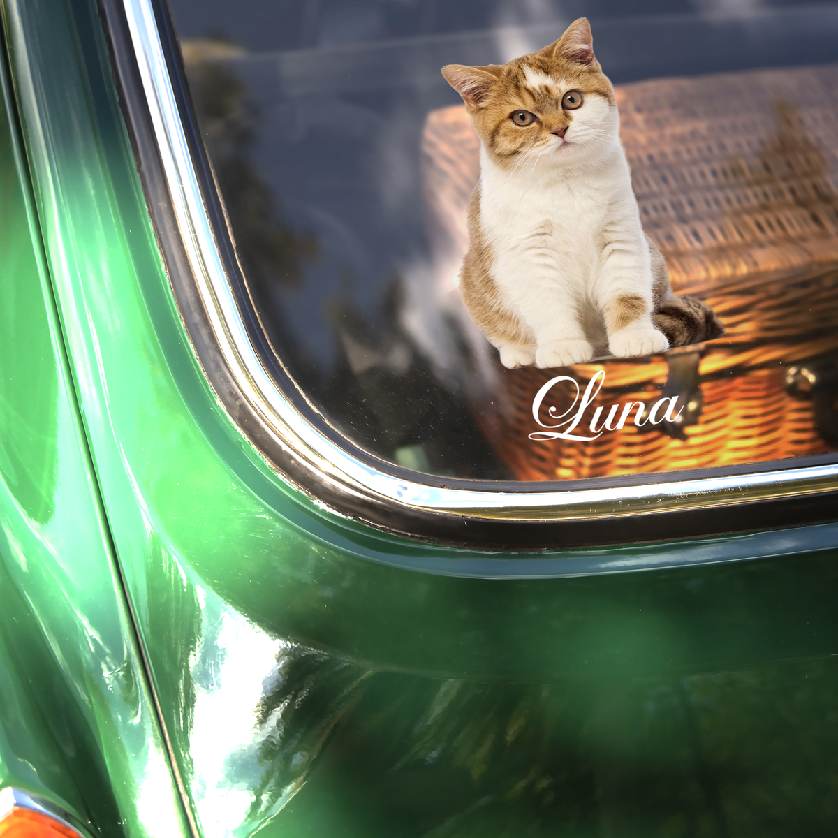 Custom Photo And Name Dog Cat Car Window Decal Sticker HA75 898162