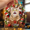 Custom Photo Letter To You 3D Effect Cat Acrylic Ornament Personalized Gift For Christmas HO82 900554