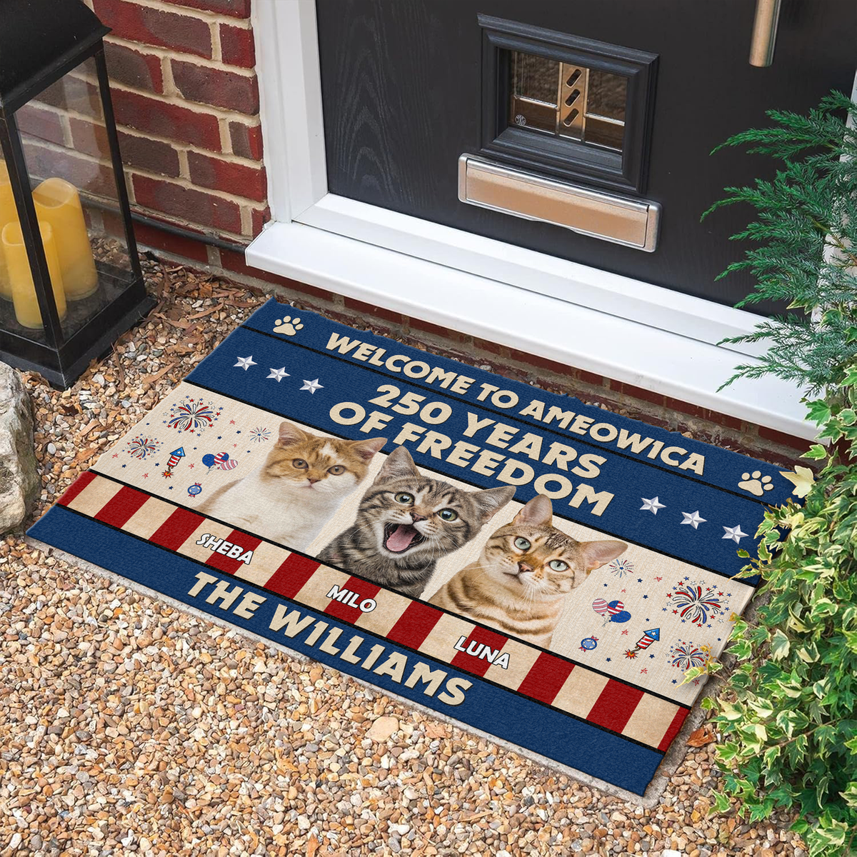 Welcome To Ameowica 250 Years Of Freedom Custom Cat Photo Doormat CH07 910170