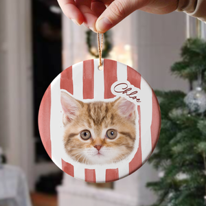 Custom Cute Cat Photo Ornament Christmas Gift For Cat Lovers LM32 895763