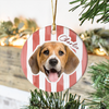 Custom Cute Dog Photo Ornament Christmas Gift For Dog Lovers LM32 895765