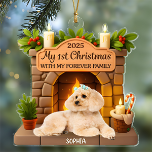 Custom Photo Dog First Christmas Acrylic Ornament For Dog Lovers HA75 897888
