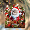 Custom Photo Letter To You 3D Effect Cat Acrylic Ornament Personalized Gift For Christmas HO82 900554