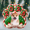 Custom Dog Photo Paw Christmas Acrylic Ornament For Dog Lovers HA75 897948